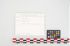 Etikett zu Bronzehelmbesatzscheitelscheibe (NHMW-PRAE-026081)